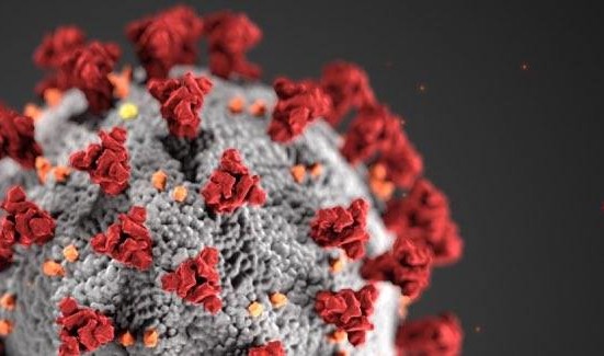 Link til side om coronaregler.