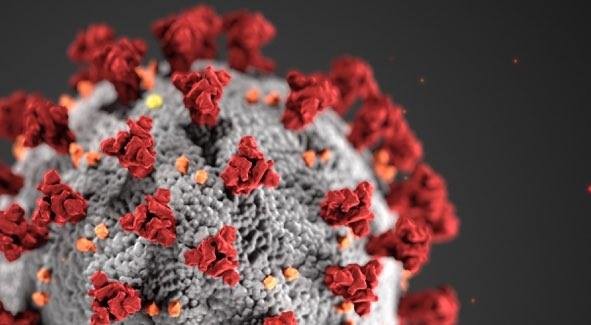 Coronavirus 2 " "