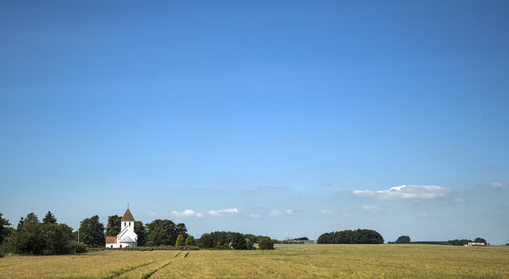 Vrigsted Kirke En hvid middelalderkirke i et sommerlandskab med kornmark og blå himmel